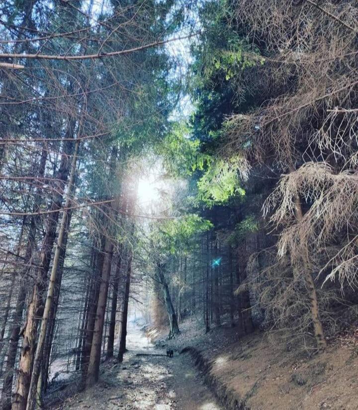 La Perla Di Bre'